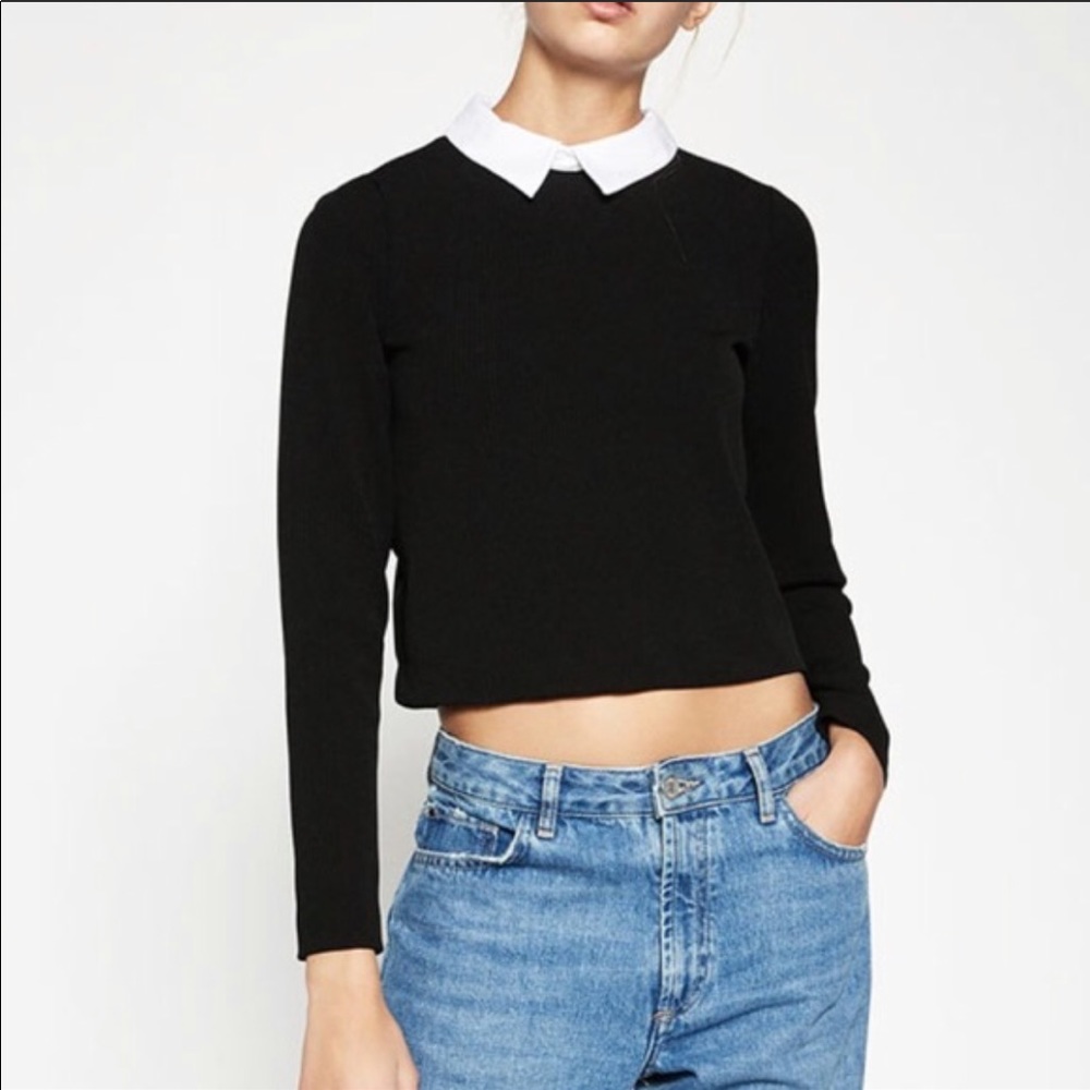 Zara collared sweater